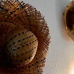 Le Soupir Des Palmiers. Ideal Couple, Piscine,